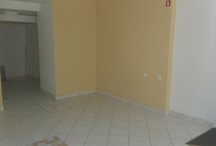 Location: Notranjsko - kraška, Postojna, Postojna