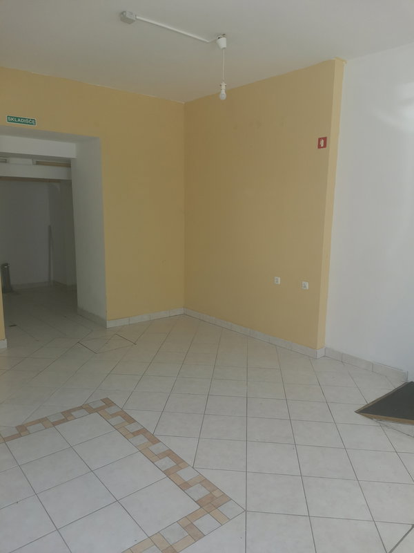 Location: Notranjsko - kraška, Postojna, Postojna