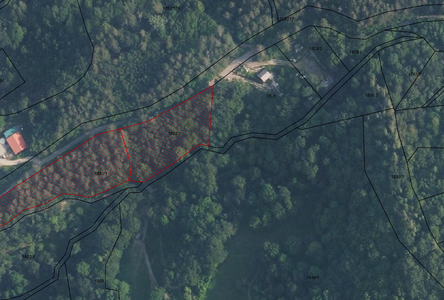 Lokacija: Notranjsko - kraška, Ilirska Bistrica, Ilirska Bistrica