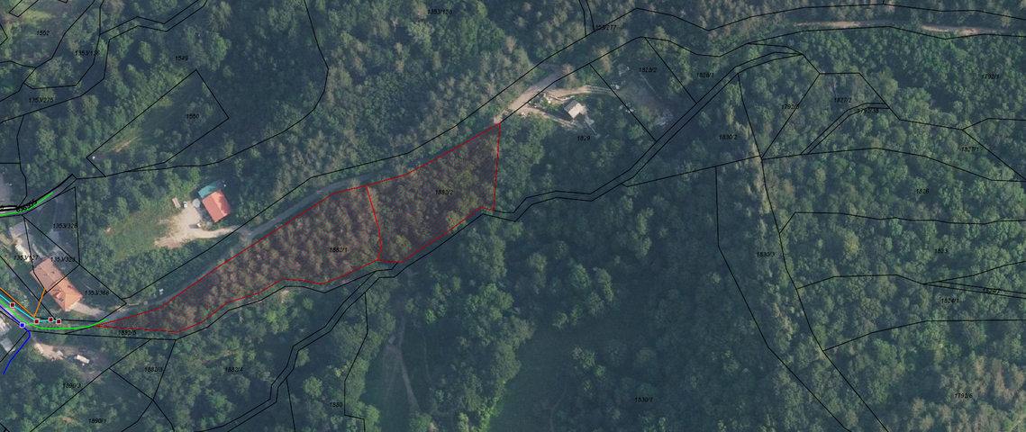 Lokacija: Notranjsko - kraška, Ilirska Bistrica, Ilirska Bistrica