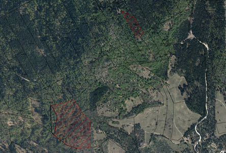 Lokacija: Notranjsko - kraška, Postojna, Bukovje