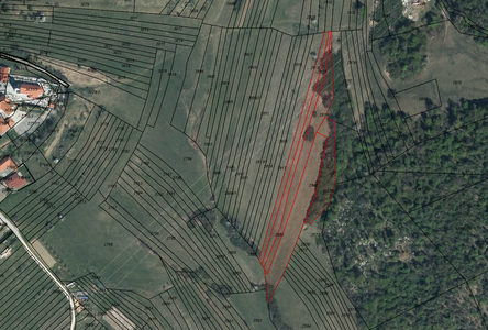 Lokacija: Notranjsko - kraška, Postojna, Studeno