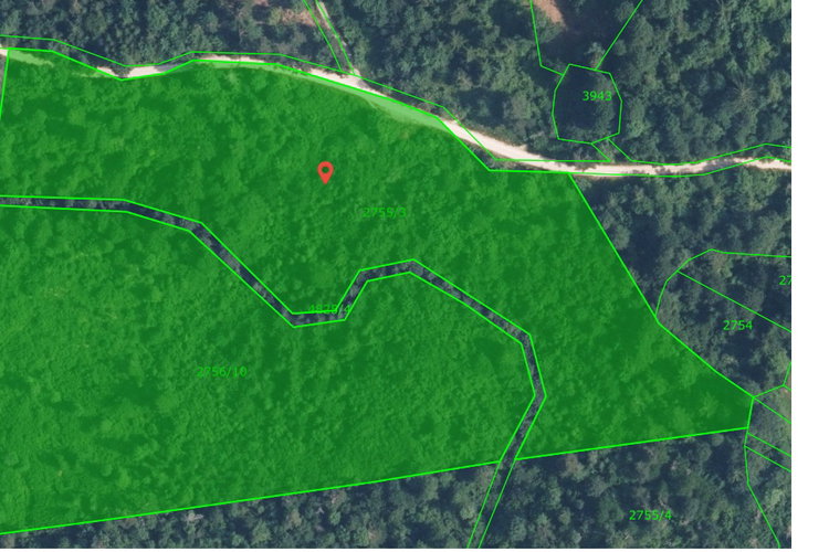 Location: Notranjsko - kraška, Postojna, Slavina