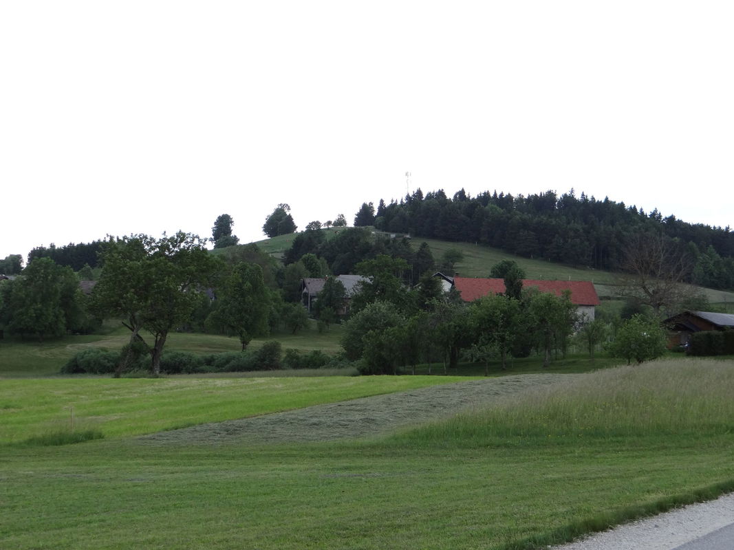 Lokacija: Notranjsko - kraška, Bloke, Ravnik