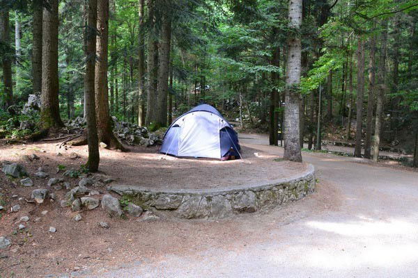 Lokacija: Notranjsko - kraška, Postojna, Postojna