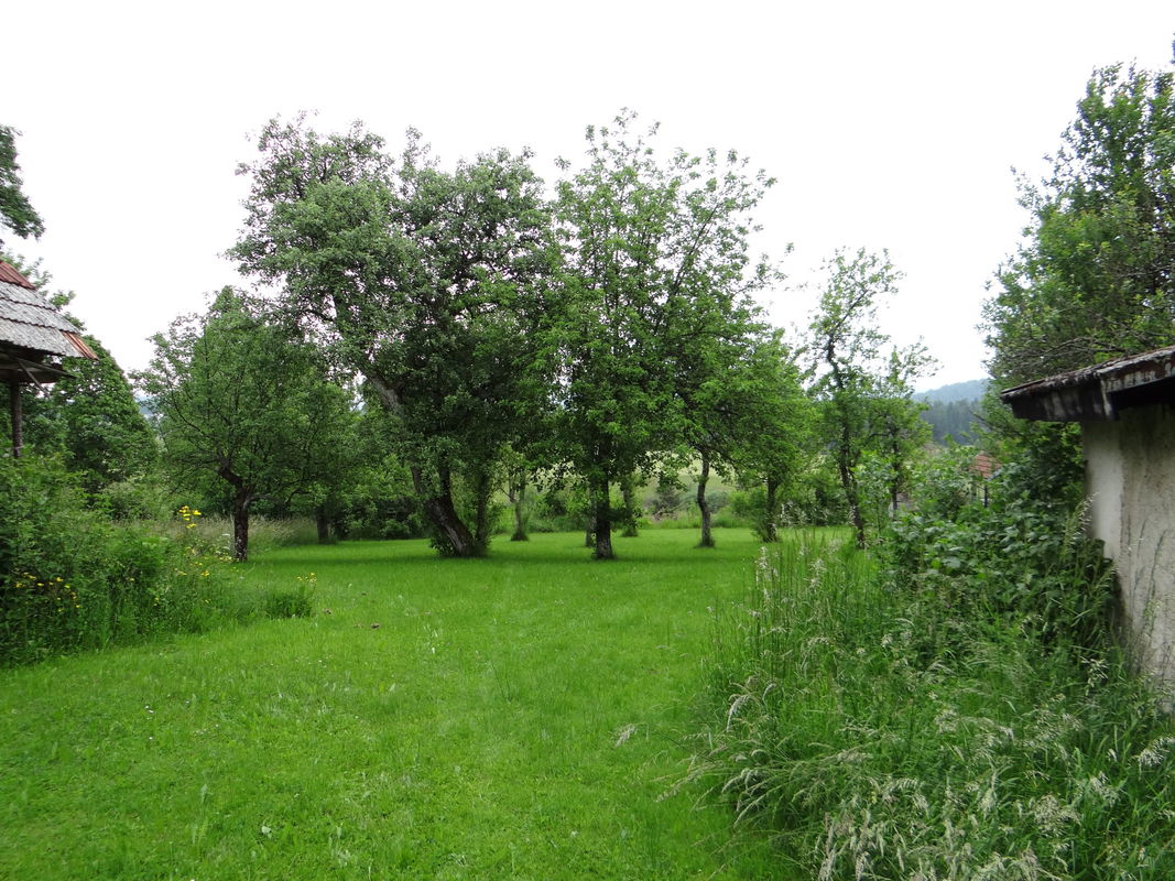 Lokacija: Notranjsko - kraška, Bloke, Ravnik