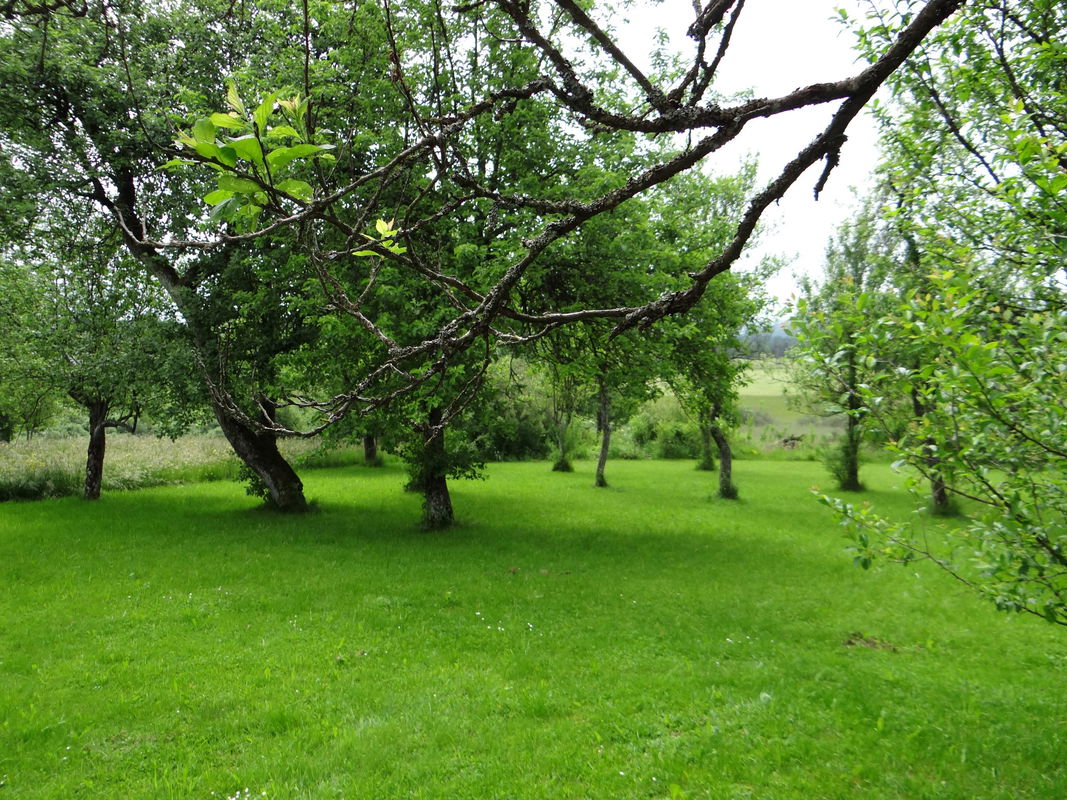 Lokacija: Notranjsko - kraška, Bloke, Ravnik