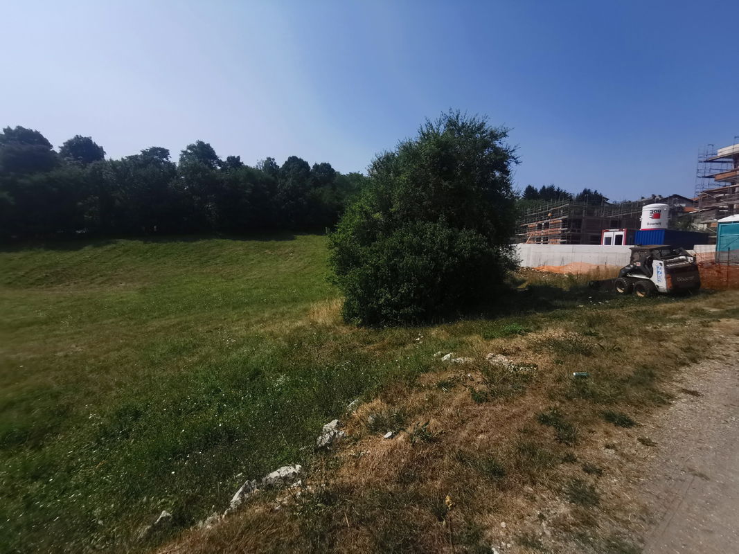 Location: Notranjsko - Kraška, Pivka, Pivka