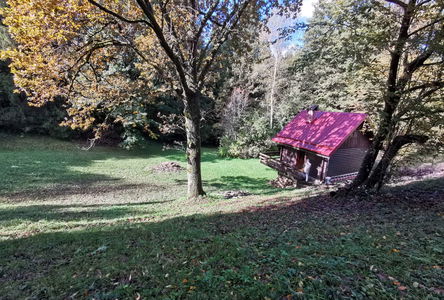 Lokacija: Notranjsko - kraška, Postojna, Studeno