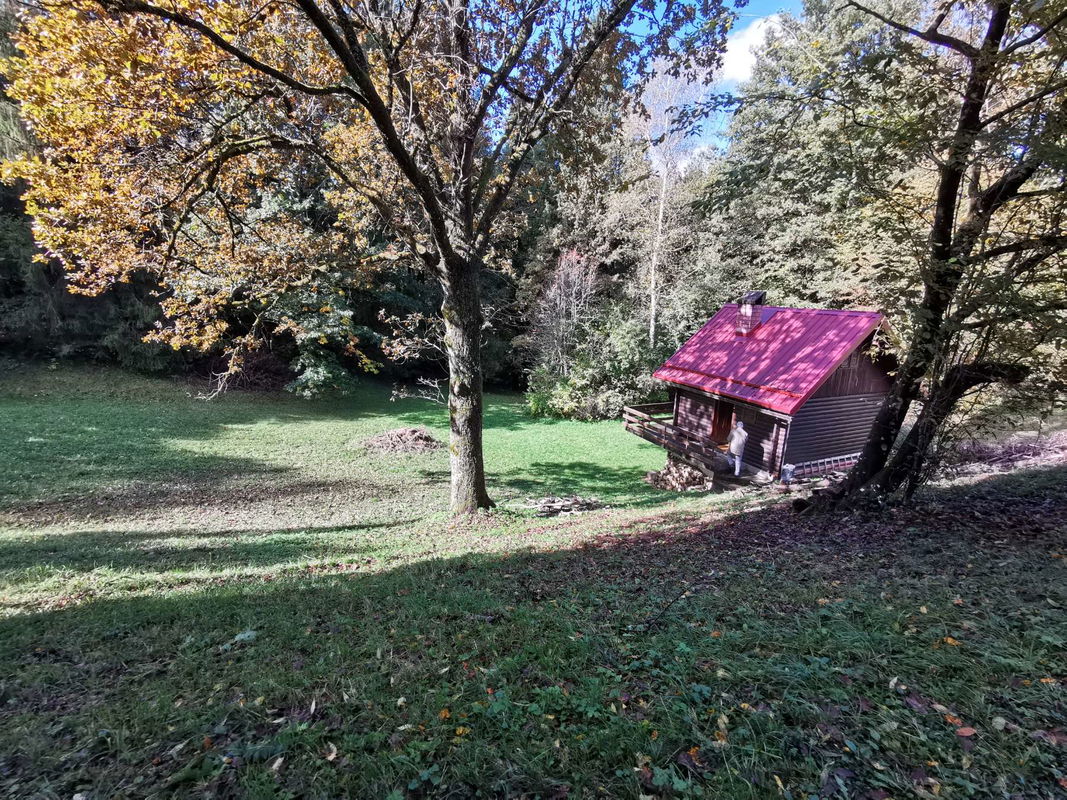 Lokacija: Notranjsko - kraška, Postojna, Studeno