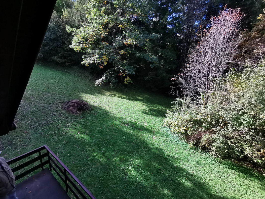 Lokacija: Notranjsko - kraška, Postojna, Studeno