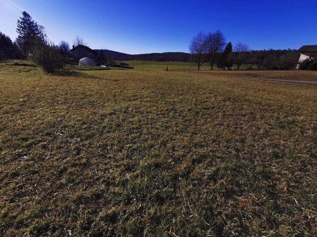 Location: Notranjsko - Kraška, Postojna, Prestranek