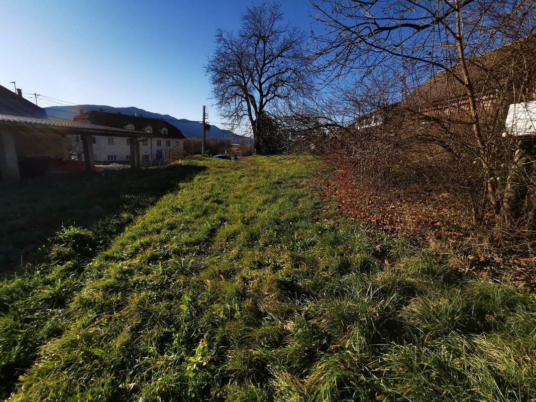 Lokacija: Notranjsko - kraška, Cerknica, Martinjak