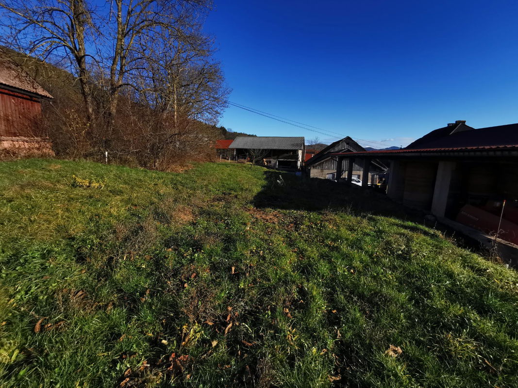 Lokacija: Notranjsko - kraška, Cerknica, Martinjak