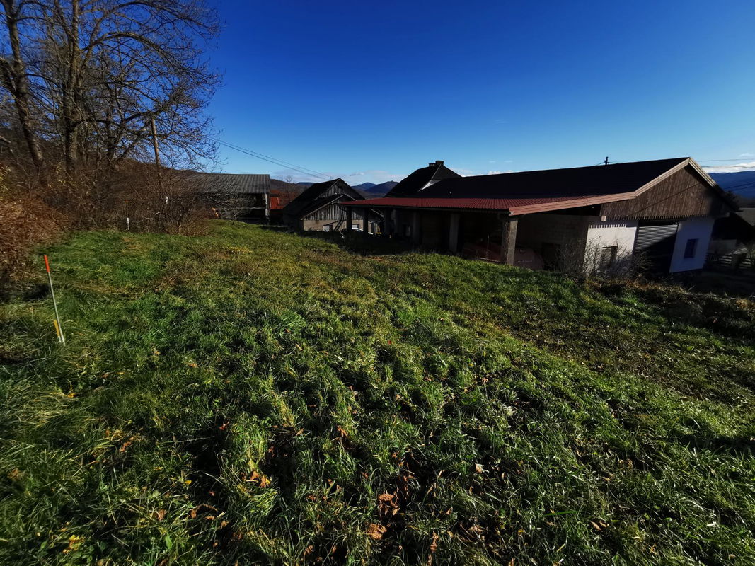 Lokacija: Notranjsko - kraška, Cerknica, Martinjak