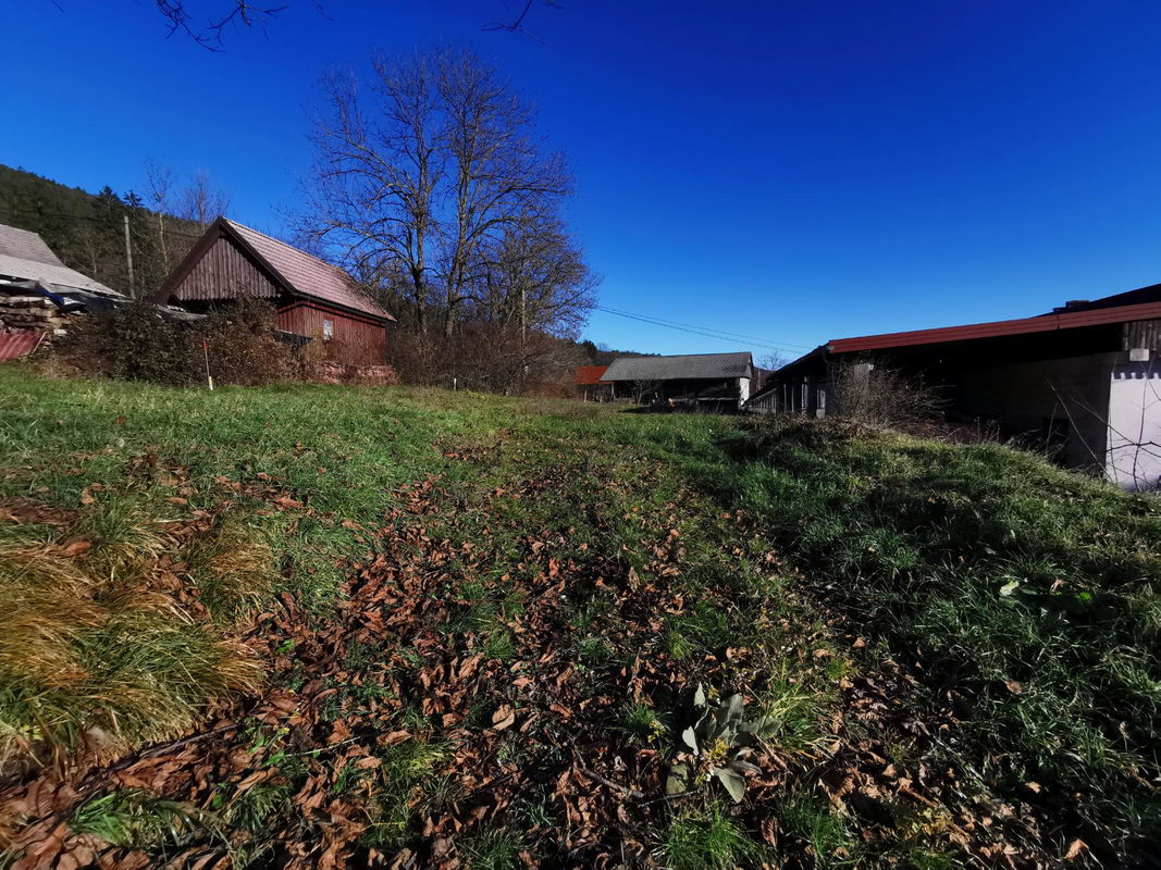 Lokacija: Notranjsko - kraška, Cerknica, Martinjak
