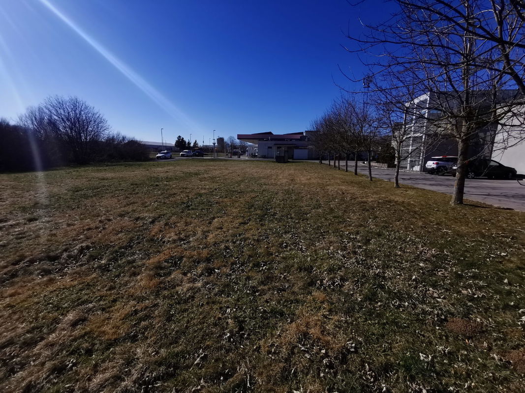 Location: Notranjsko - Kraška, Postojna, Postojna