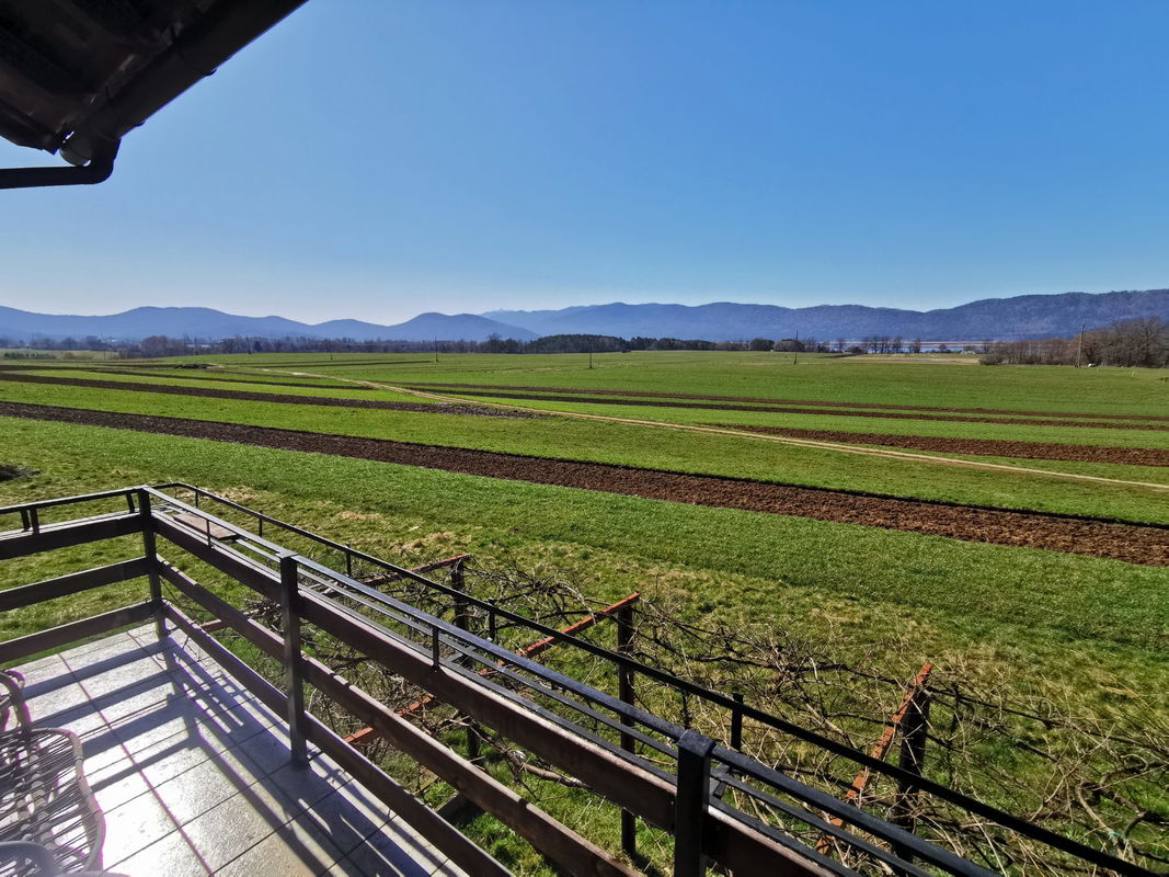 Location: Notranjsko - Kraška, Cerknica, Martinjak