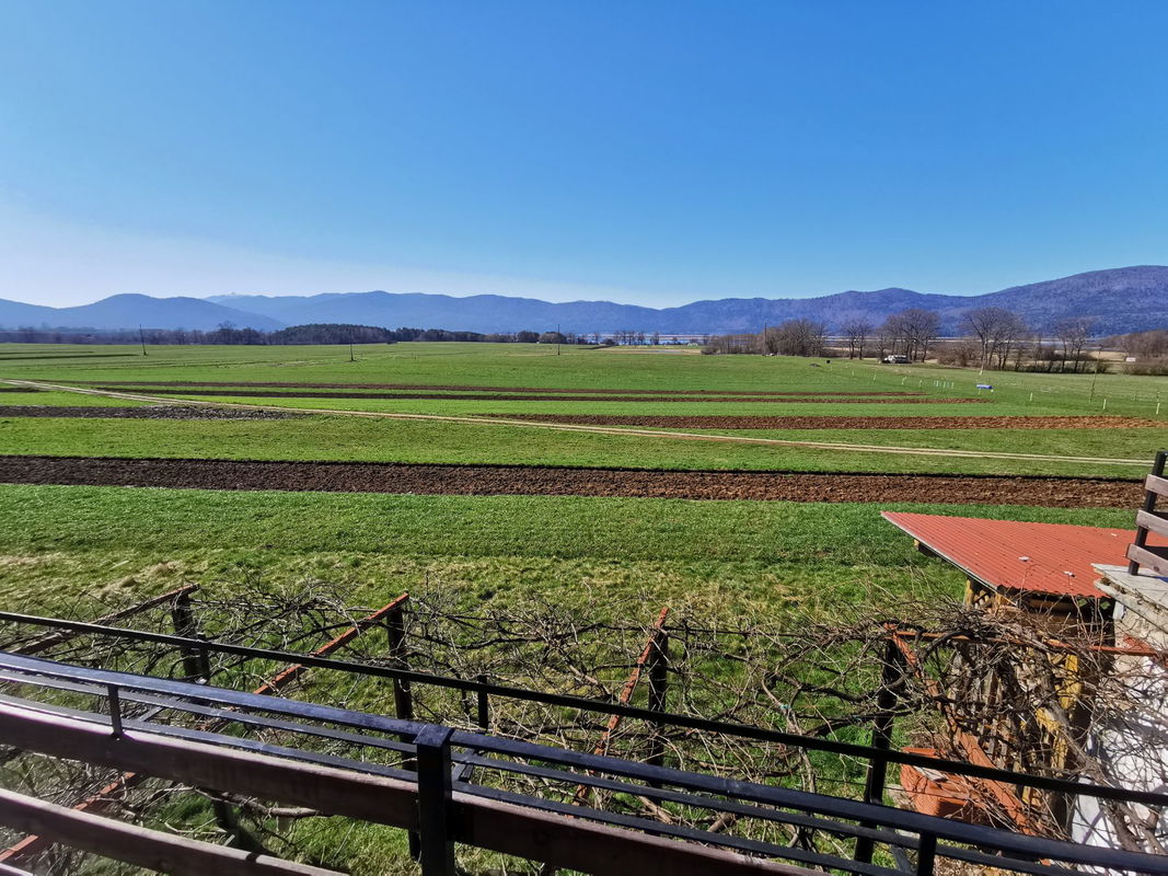 Location: Notranjsko - Kraška, Cerknica, Martinjak
