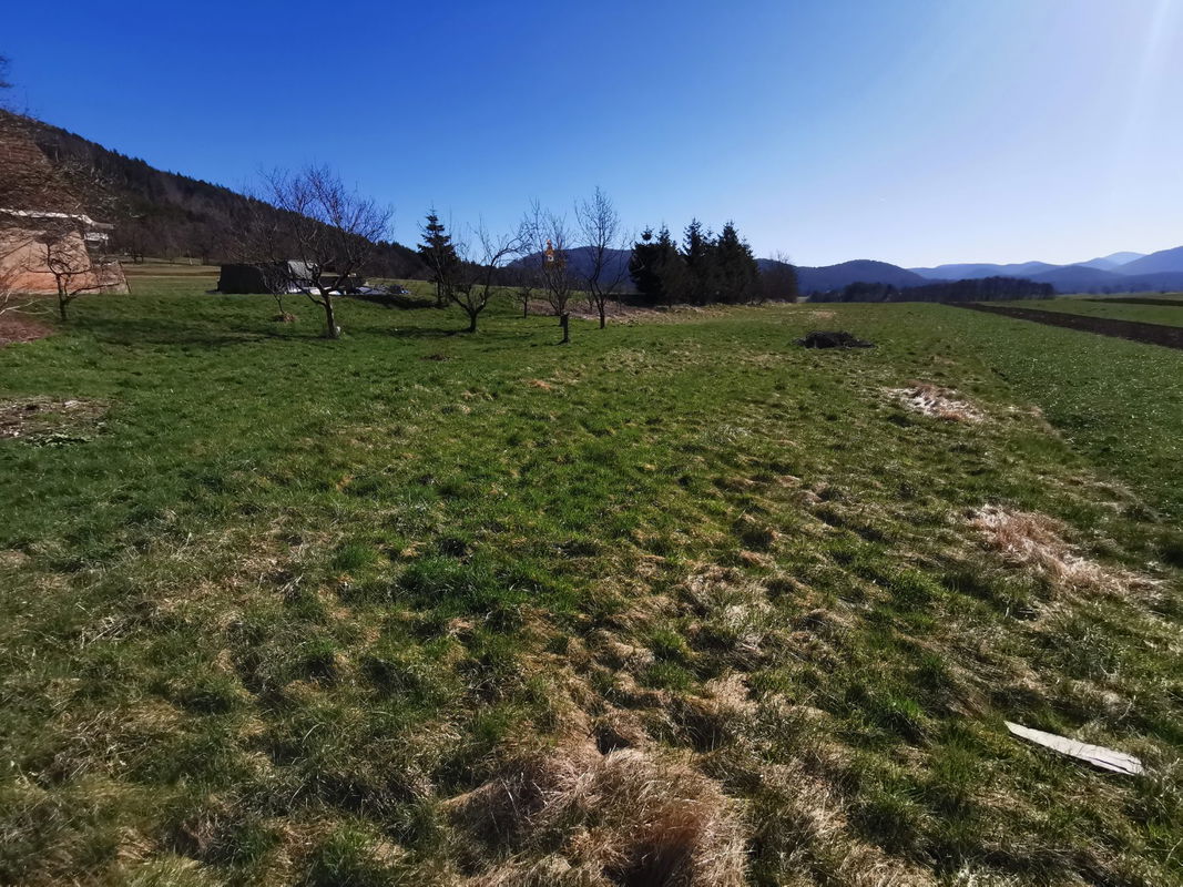 Location: Notranjsko - Kraška, Cerknica, Martinjak