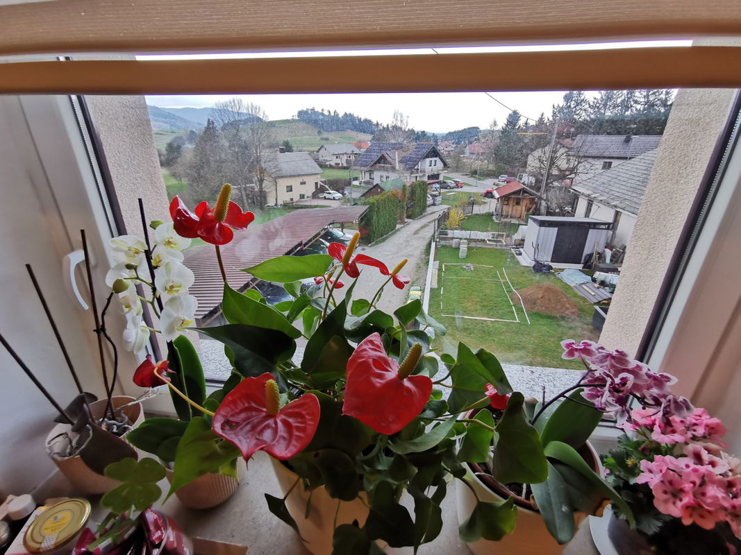 Location: Notranjsko - Kraška, Cerknica, Rakek
