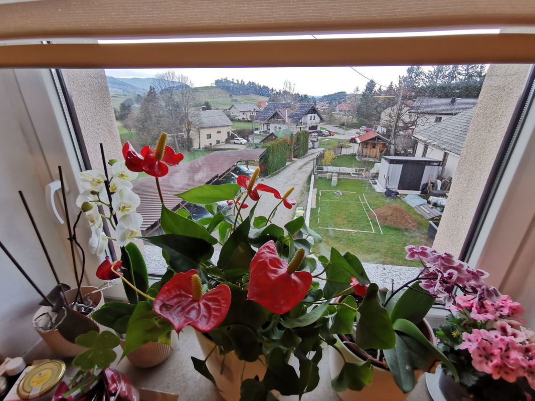 Lokacija: Notranjsko - kraška, Cerknica, Rakek