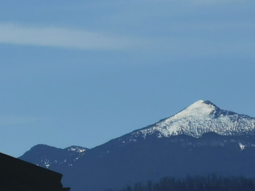 Location: Notranjsko - Kraška, Cerknica, Martinjak