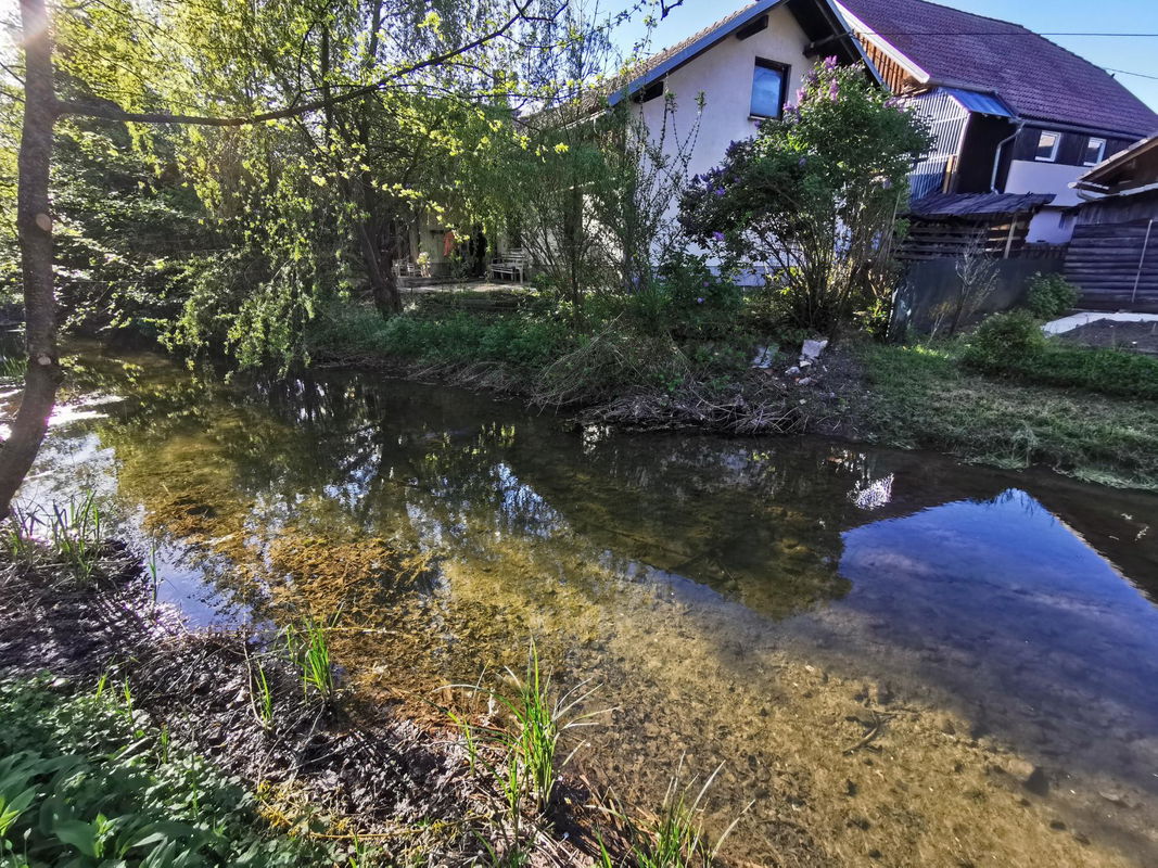 Location: Notranjsko - Kraška, Cerknica, Cerknica