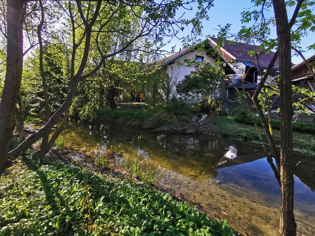 Location: Notranjsko - Kraška, Cerknica, Cerknica