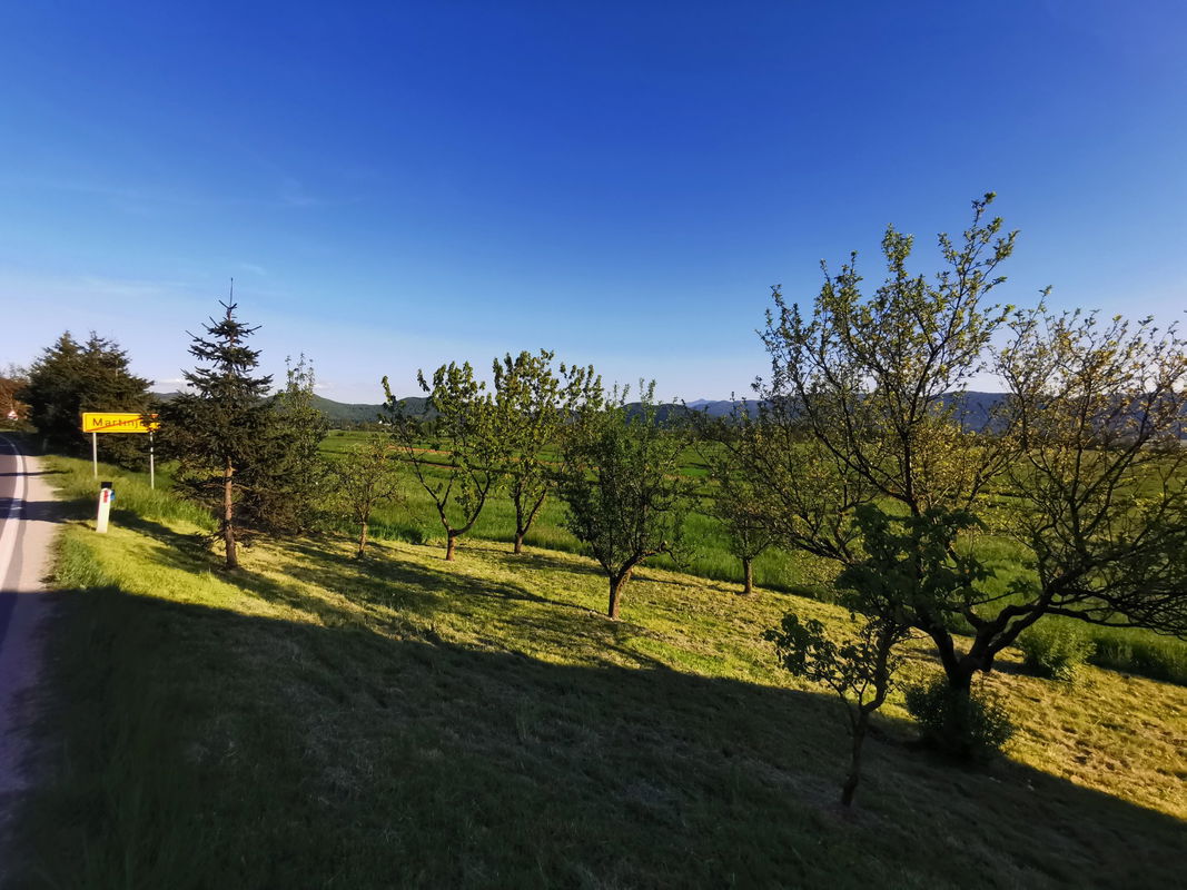 Location: Notranjsko - Kraška, Cerknica, Martinjak