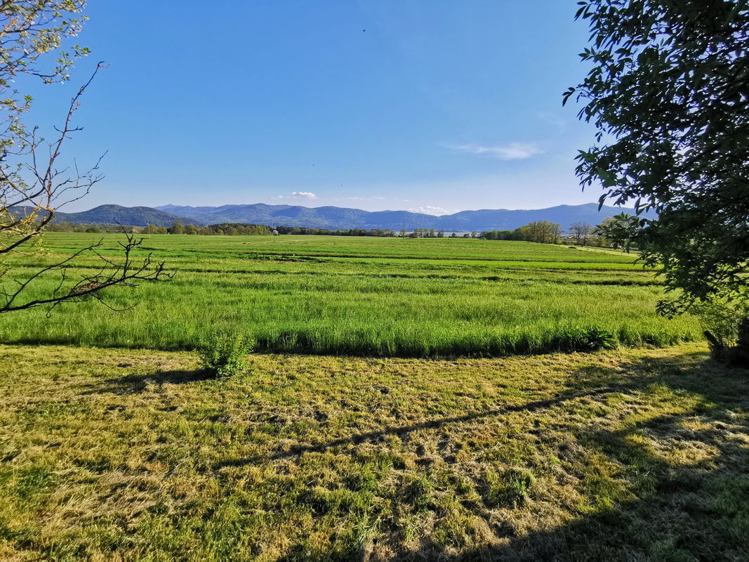 Location: Notranjsko - Kraška, Cerknica, Martinjak