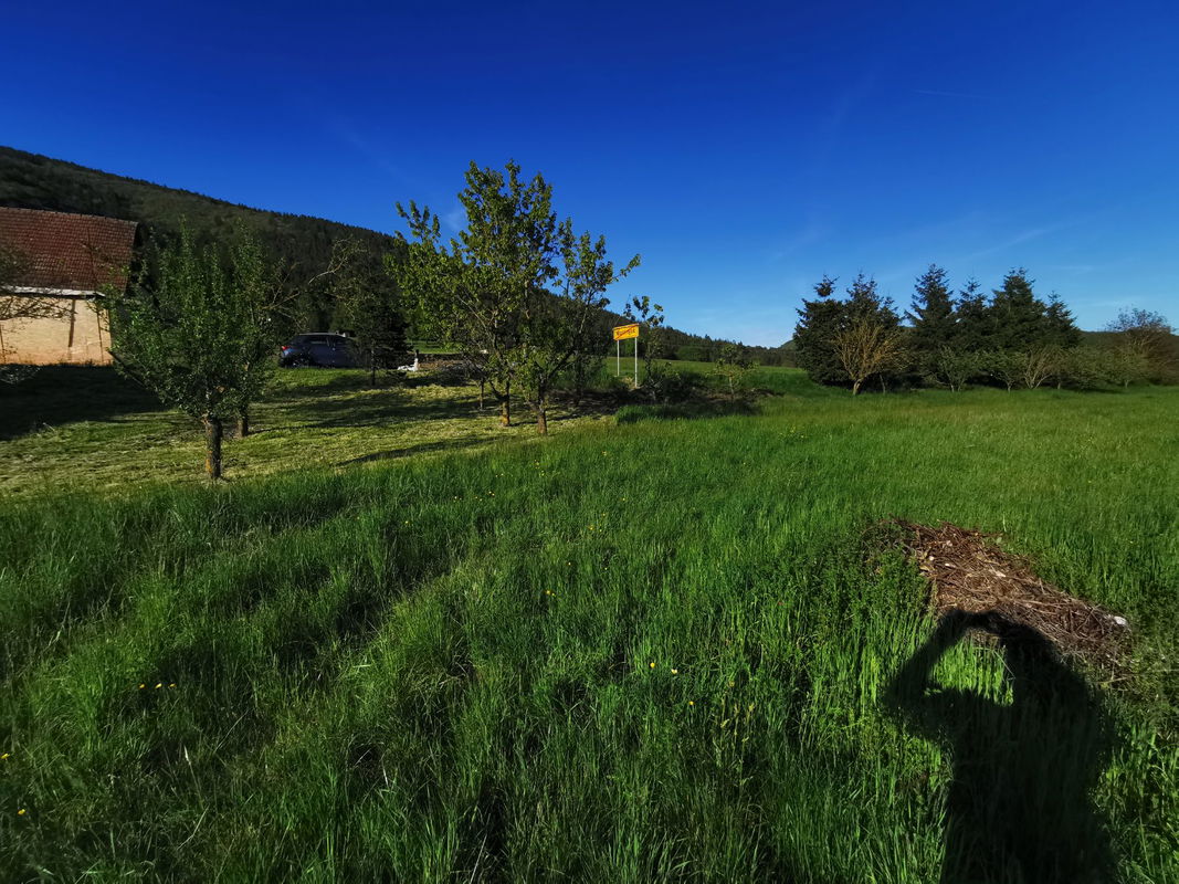 Location: Notranjsko - Kraška, Cerknica, Martinjak