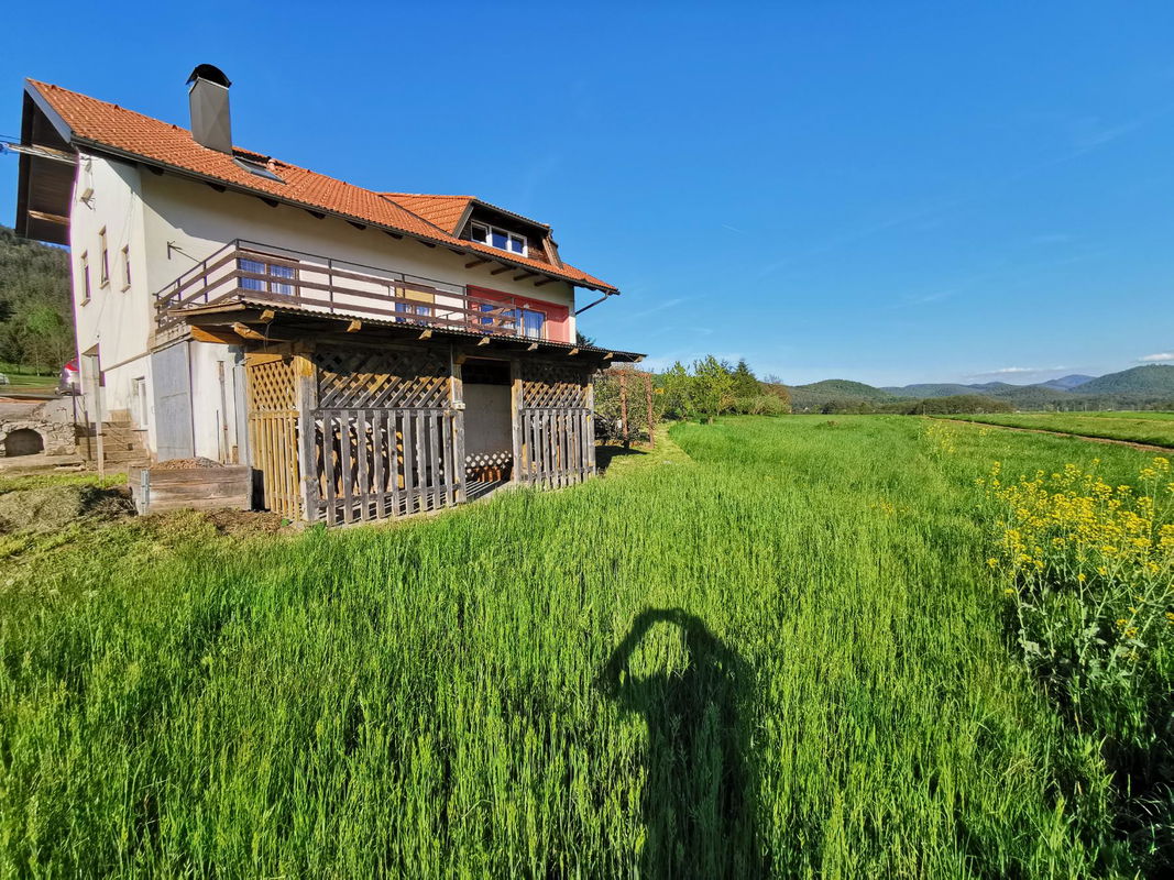 Location: Notranjsko - Kraška, Cerknica, Martinjak