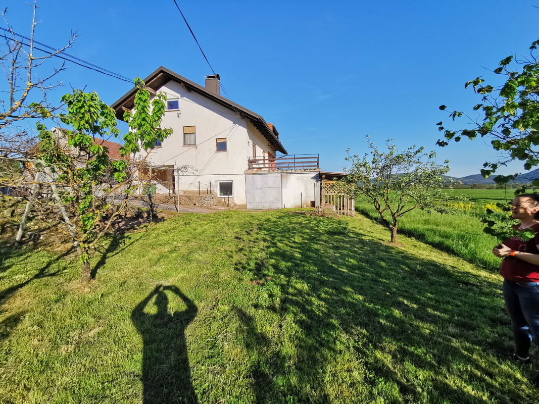 Location: Notranjsko - Kraška, Cerknica, Martinjak