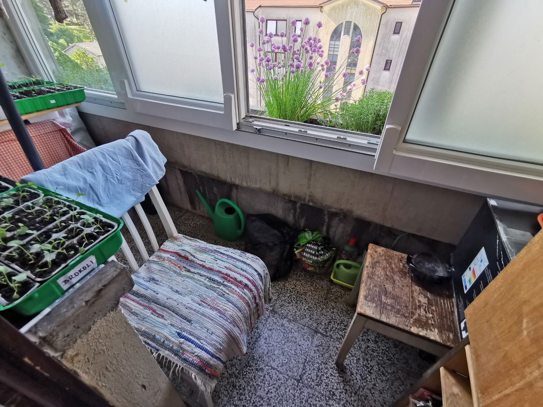 Lokacija: Notranjsko - kraška, Postojna, Postojna