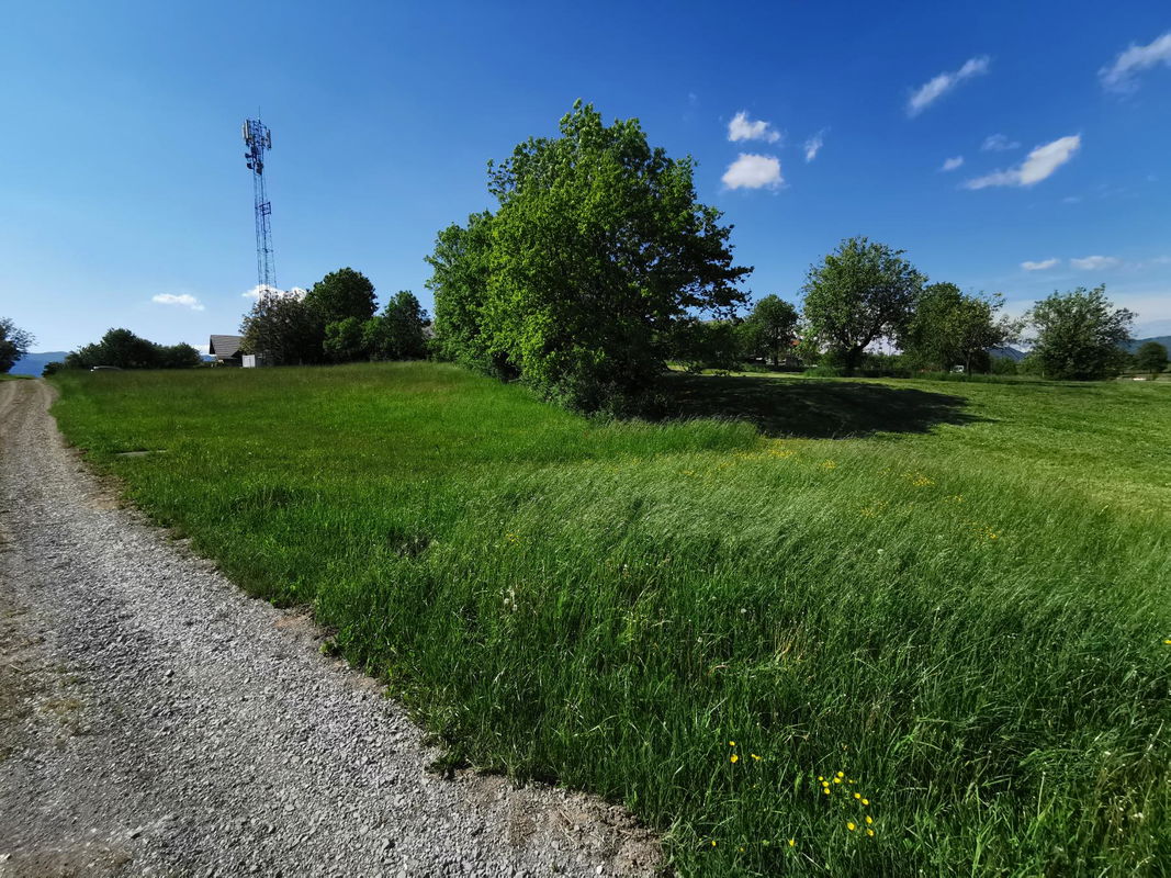 Location: Notranjsko - Kraška, Postojna, Studenec
