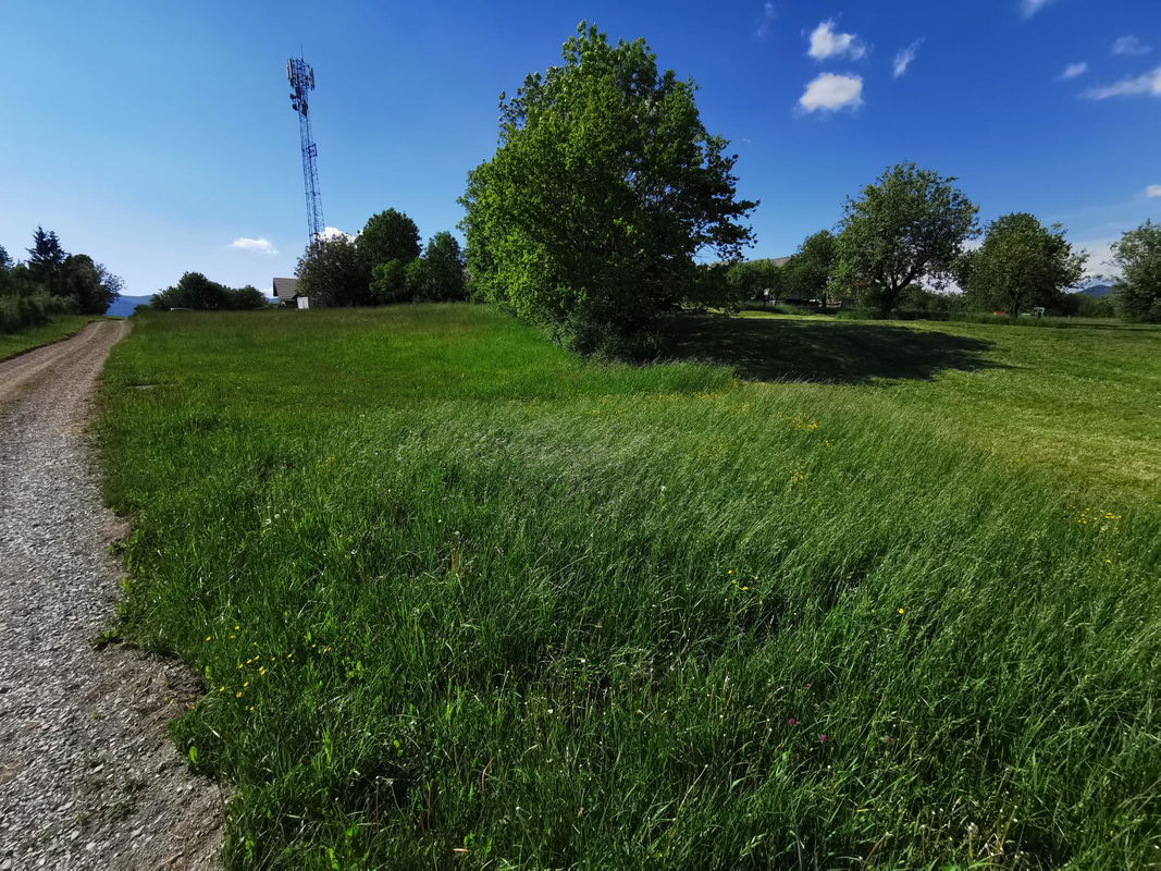 Location: Notranjsko - Kraška, Postojna, Studenec