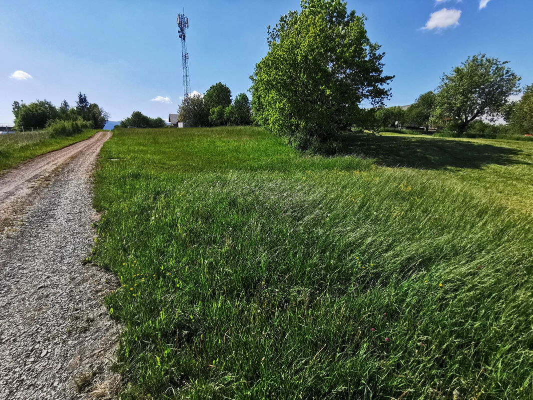 Location: Notranjsko - Kraška, Postojna, Studenec