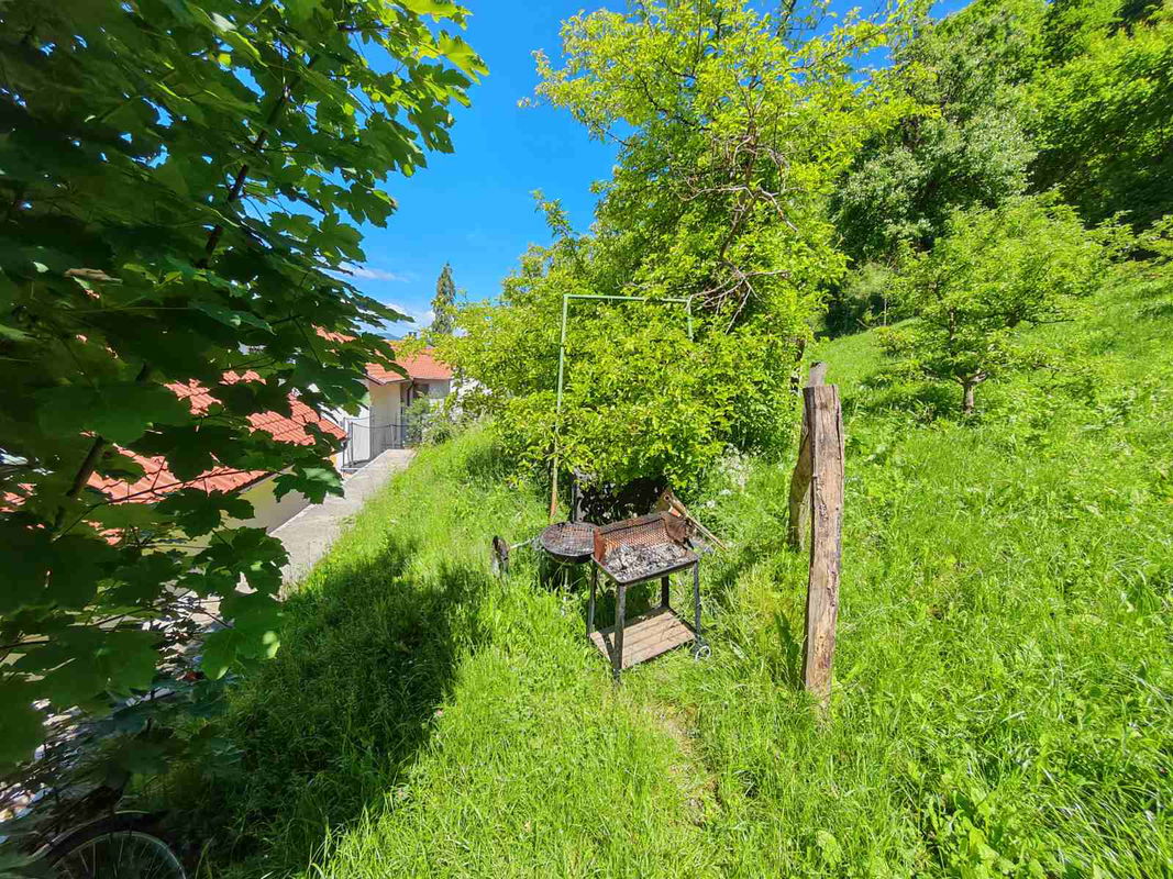 Location: Notranjsko - Kraška, Postojna, Postojna