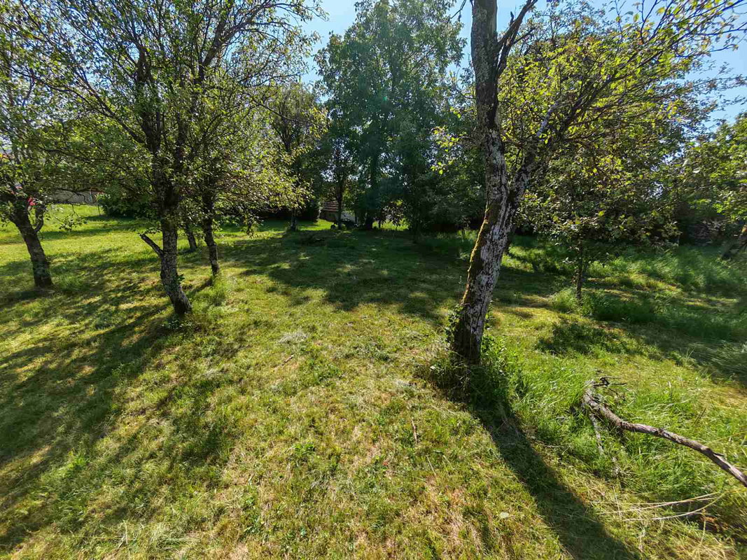 Lokacija: Notranjsko - kraška, Postojna, Bukovje