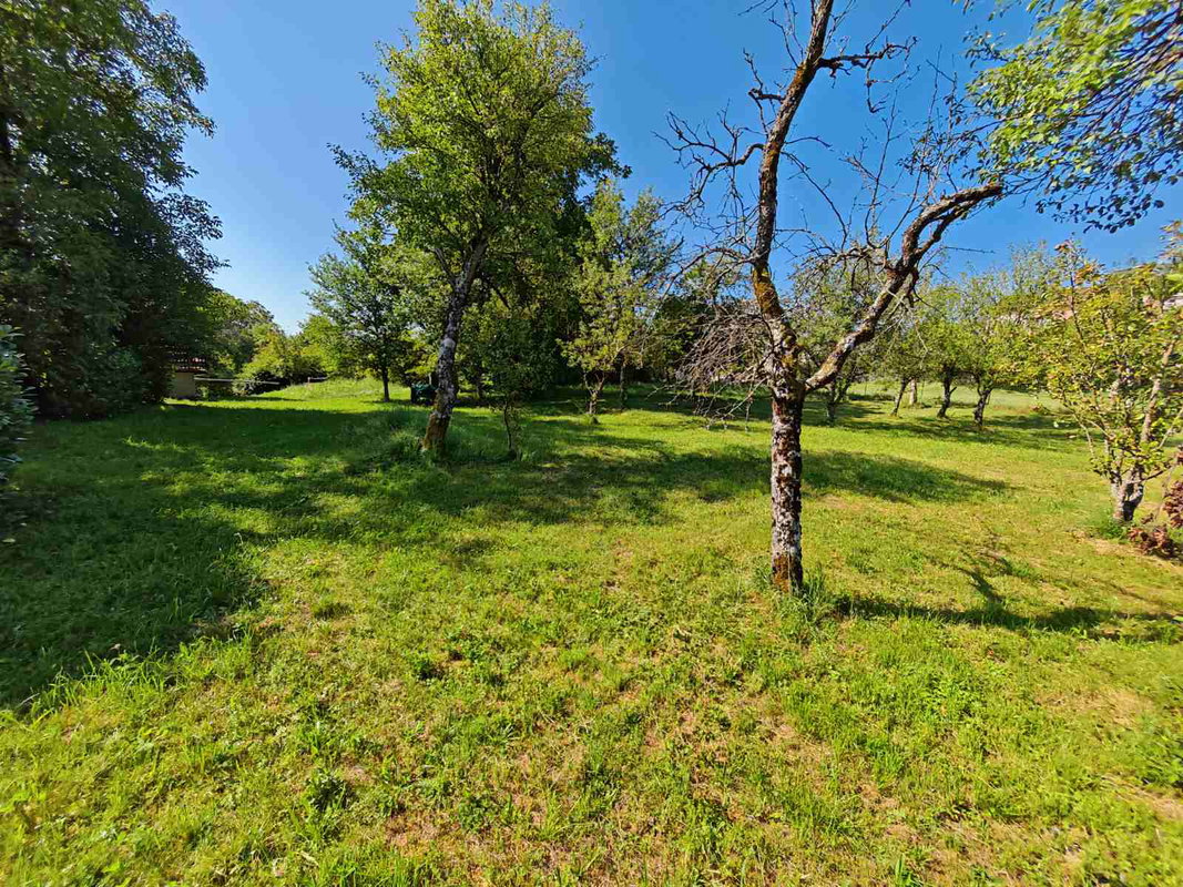 Lokacija: Notranjsko - kraška, Postojna, Bukovje