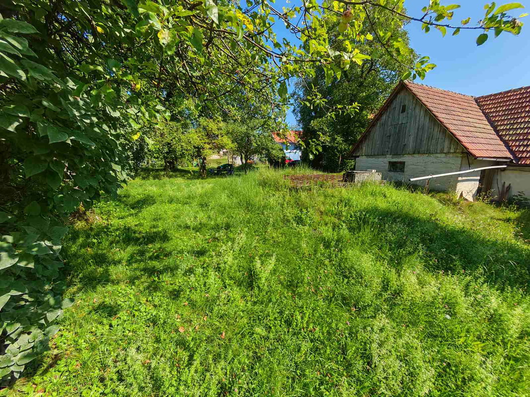 Lokacija: Notranjsko - kraška, Postojna, Bukovje