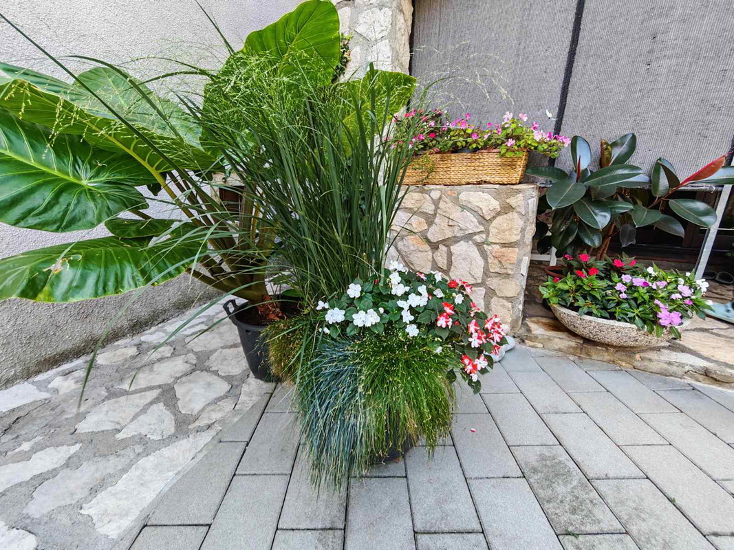 Location: Goriška, Vipava, Podnanos