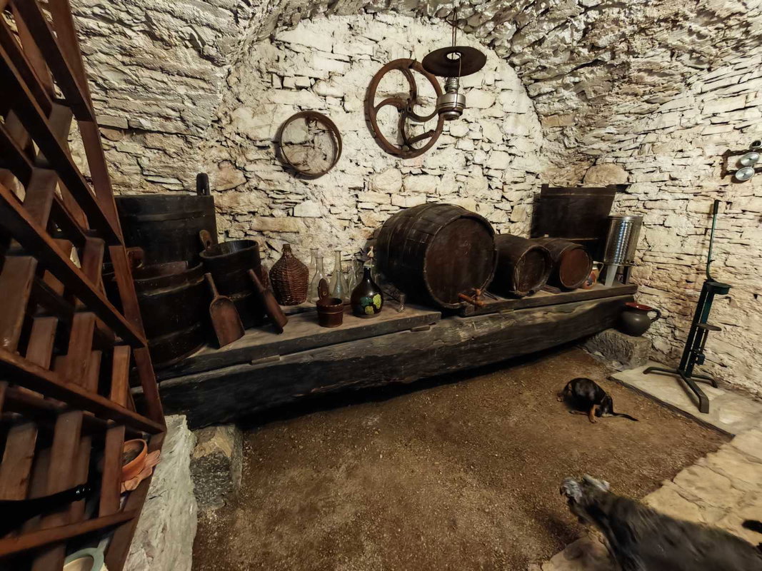 Location: Goriška, Vipava, Podnanos