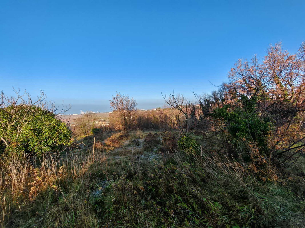 Lokacija: Obalno - kraška, Koper, Bertoki