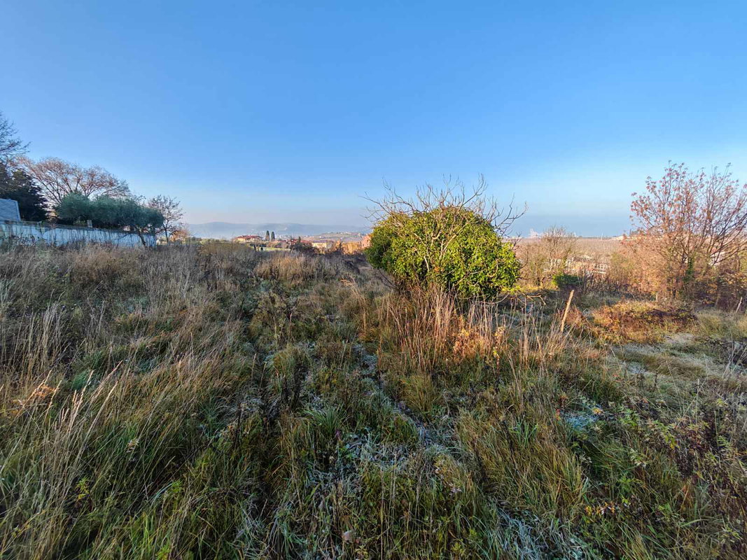 Lokacija: Obalno - kraška, Koper, Bertoki