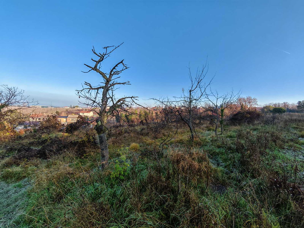 Lokacija: Obalno - kraška, Koper, Bertoki