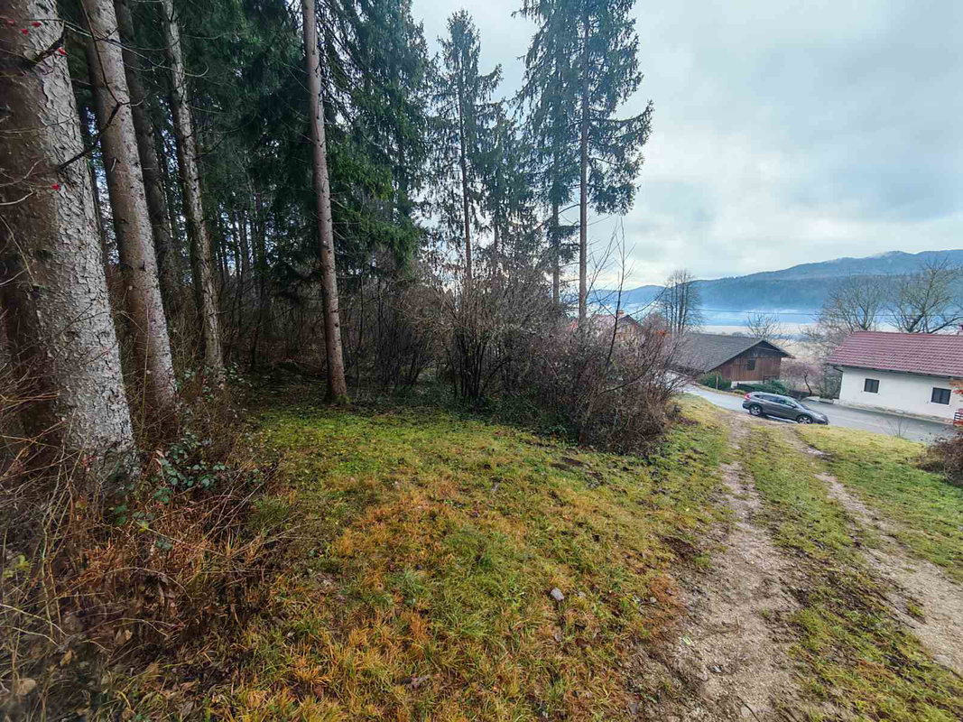 Lokacija: Notranjsko - kraška, Loška Dolina, Podcerkev