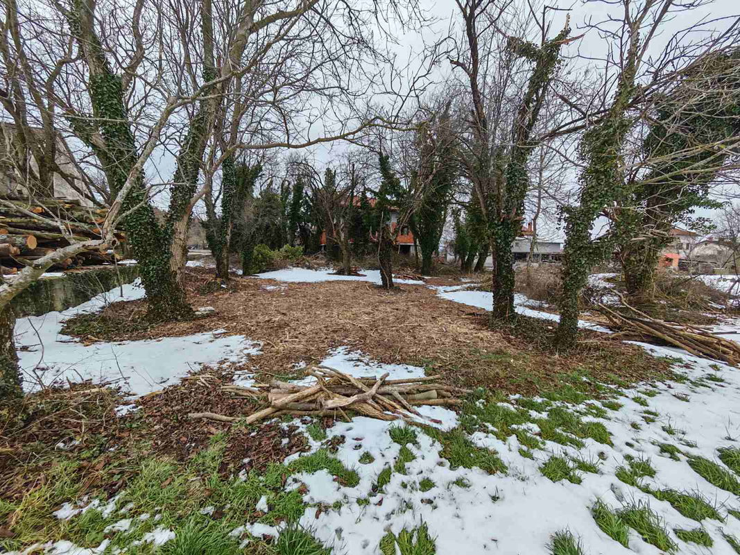 Lokacija: Notranjsko - kraška, Pivka, Šmihel