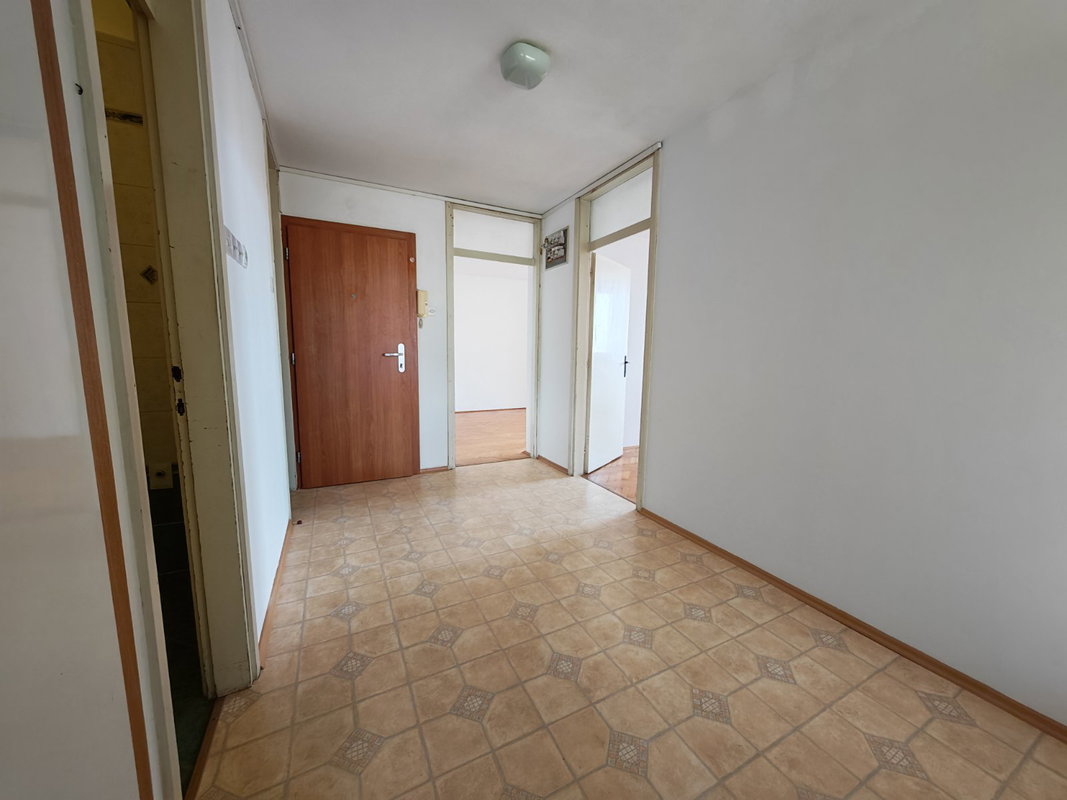 Location: Notranjsko - kraška, Postojna, Postojna